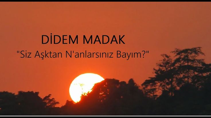 Siz Aşktan N’anlarsınız Bayım..