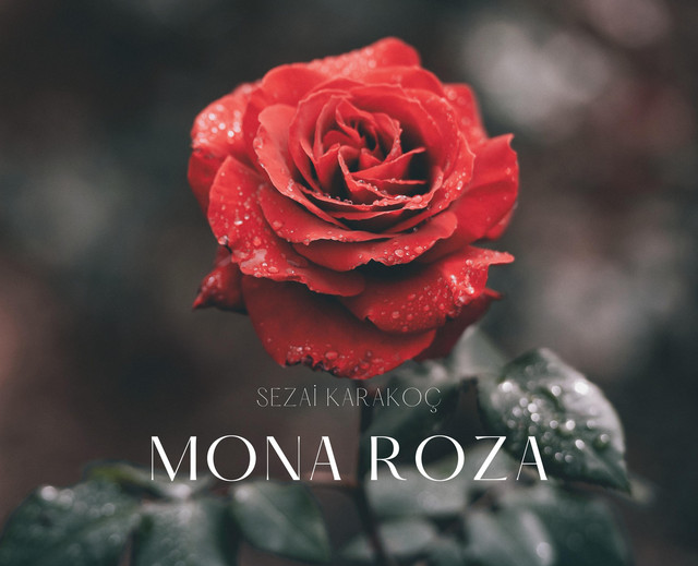 Mona Roza: Siyah Güller, Ak Güller