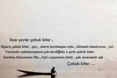 Resimlerin Lisanı